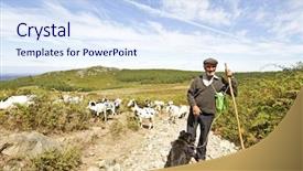 Presentation with shepherd sheep - Beautiful slide deck featuring shepherd with his flock backdrop and a sky blue colored foreground