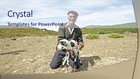  Presentation with shepherd sheep - Cool new PPT layouts with shepherd with one of his backdrop and a sky blue colored foreground