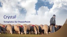  Presentation with shepherd sheep - Cool new PPT theme with shepherd with sheeps backdrop and a sky blue colored foreground