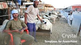  Presentation with livestock - Theme having shepherds-at-the-livestock-market background and a gray colored foreground