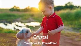  Presentation with light colors - Cool new slides with shih tzu - one year child feeding dog backdrop and a red colored foreground