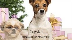  Presentation with russell - Beautiful theme featuring sitting in front of christmas backdrop and a lemonade colored foreground