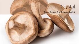  Presentation with mushrooms - Colorful presentation design enhanced with shiitake-mushrooms-on-the-white backdrop and a coral colored foreground