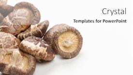 Presentation with mushrooms - Presentation theme featuring shiitake mushrooms background and a white colored foreground