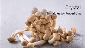  Presentation with umami - Amazing slides having shimeji-mushrooms-edible-mushrooms-rich backdrop and a light gray colored foreground