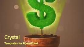  Presentation with shining - PPT theme having shining dollar sign tree coming out of flowerpot background and a tawny brown colored foreground