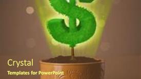  Presentation with shining - Colorful presentation theme enhanced with shining dollar sign tree coming out of flowerpot backdrop and a tawny brown colored foreground