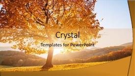  Presentation with yellow wood - PPT theme enhanced with shiny beech tree background and a yellow colored foreground