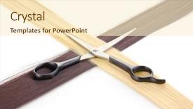  Presentation with shiny - Audience pleasing slide deck consisting of shiny blond and brown hair backdrop and a cream colored foreground