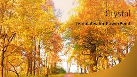  Presentation with shiny - Colorful presentation enhanced with shiny outdoor summer gone backdrop and a gold colored foreground