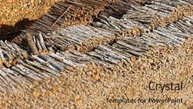  Presentation with secondary raw materials - Amazing PPT theme having shipping log - renewable resource - raw timber backdrop and a coral colored foreground