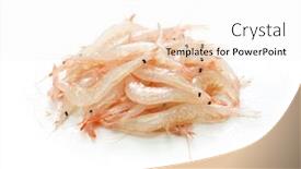  Presentation with shrimp - Beautiful slide set featuring shiraebi-shiroebi-japanese-glass-shrimp backdrop and a sky blue colored foreground