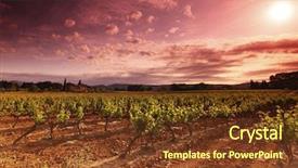  Presentation with france - PPT layouts consisting of shiraz - amazing vineyard sunset in france background and a tawny brown colored foreground