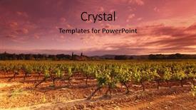  Presentation with france - Beautiful PPT layouts featuring shiraz - amazing vineyard sunset in france backdrop and a violet colored foreground