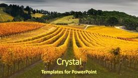  Presentation with chocolate hills bohol - PPT theme enhanced with shiraz - beautiful vineyard in the adelaide background and a tawny brown colored foreground