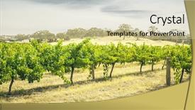  Presentation with australia - Colorful slide deck enhanced with theater - old temple and theatre backdrop and a coral colored foreground