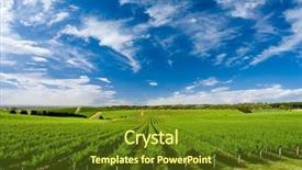  Presentation with south sudan usa - Colorful theme enhanced with shiraz - vineyard at one tree hill backdrop and a tawny brown colored foreground