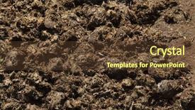  Presentation with black church easter - Colorful PPT layouts enhanced with excrements of eastern black rhinoceros backdrop and a  colored foreground