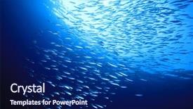  Presentation with fish ocean - PPT theme enhanced with shoal of mackerel fish background and a navy blue colored foreground