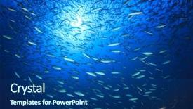  Presentation with fish ocean - Cool new PPT layouts with shoal sardines fish underwater sea backdrop and a ocean colored foreground