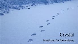  Presentation with footprints - Cool new PPT layouts with shoe marks - path for progress with footprints backdrop and a light blue colored foreground