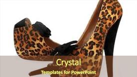  Presentation with animal print - Colorful presentation theme enhanced with shoes with animal skin print backdrop and a tawny brown colored foreground