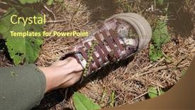  Presentation with stuck - Slides having shoes with various burrs stuck on them during a walk background and a tawny brown colored foreground