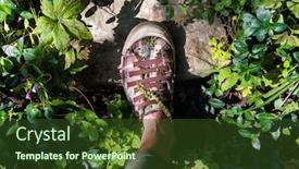  Presentation with stuck - Audience pleasing presentation consisting of shoes with various burrs stuck on them during a walk backdrop and a tawny brown colored foreground