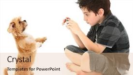  Presentation with shooting - Presentation design featuring shooting photos of his dog background and a coral colored foreground