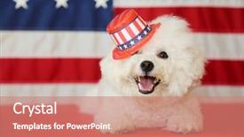  Presentation with 4th july - Slide deck featuring shooting star - bichon frise dog with american background and a coral colored foreground