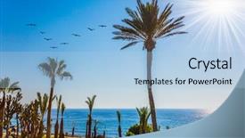  Presentation with southern beach grass - PPT theme having shore of the sea flock background and a light blue colored foreground