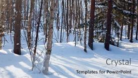  Presentation with snow day - Presentation theme featuring short-winter-day background and a light blue colored foreground