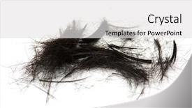  Presentation with hair salon scissors in black - Amazing presentation theme having shortening - haircut black cut hair isolated backdrop and a white colored foreground