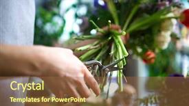  Presentation with human resource compensation - Cool new presentation theme with shortening - human hand with scissors cutting backdrop and a tawny brown colored foreground