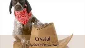  Presentation with german shorthaired pointer - Slide deck with shorthaired pointer sitting beside western background and a coral colored foreground