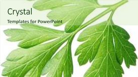  Presentation with file cabinets - Presentation theme consisting of shot file contains clipping path background and a  colored foreground