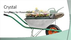  Presentation with white flowers - Audience pleasing PPT layouts consisting of shot of a metal wheelbarrow backdrop and a white colored foreground