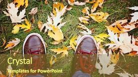  Presentation with fall leaves - PPT theme with shot of brown and white background and a tawny brown colored foreground