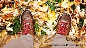  Presentation with done - Amazing PPT theme having shot of brown and white boat or deck shoes done with a retro vintage instagram filter app or action effect in leaves and grass during a fall day backdrop and a gold colored foreground