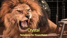  Presentation with lion king - PPT layouts with shadow icon for game web background and a cream colored foreground