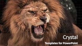  Presentation with lion king - Audience pleasing PPT layouts consisting of shot of gorgeous roaring lion backdrop and a tawny brown colored foreground