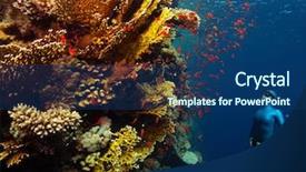  Presentation with sea coral - Beautiful PPT layouts featuring shot of the lady free backdrop and a ocean colored foreground