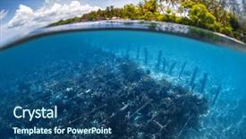  Presentation with weed - Slides having shot of the sea weed background and a  colored foreground