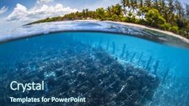  Presentation with weed - Theme featuring shot of the sea weed background and a ocean colored foreground