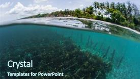  Presentation with weed - Colorful presentation enhanced with shot of the sea weed backdrop and a tawny brown colored foreground