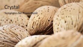  Presentation with water farming almond trees - PPT theme featuring shot shells - almond in shell on white background and a coral colored foreground