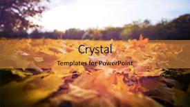  Presentation with autumn leaves - Cool new slides with shot suitable for background image backdrop and a  colored foreground