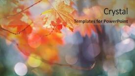  Presentation with multicolored autumn leaves orange yellow red - Slide set featuring shot suitable for background image background and a coral colored foreground