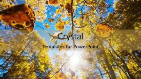  Presentation with autumn leaves - PPT layouts featuring shot suitable for background image background and a gold colored foreground