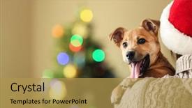  Presentation with santa claus holding scroll paper - Slide deck having shoulder small funny cute dog background and a yellow colored foreground